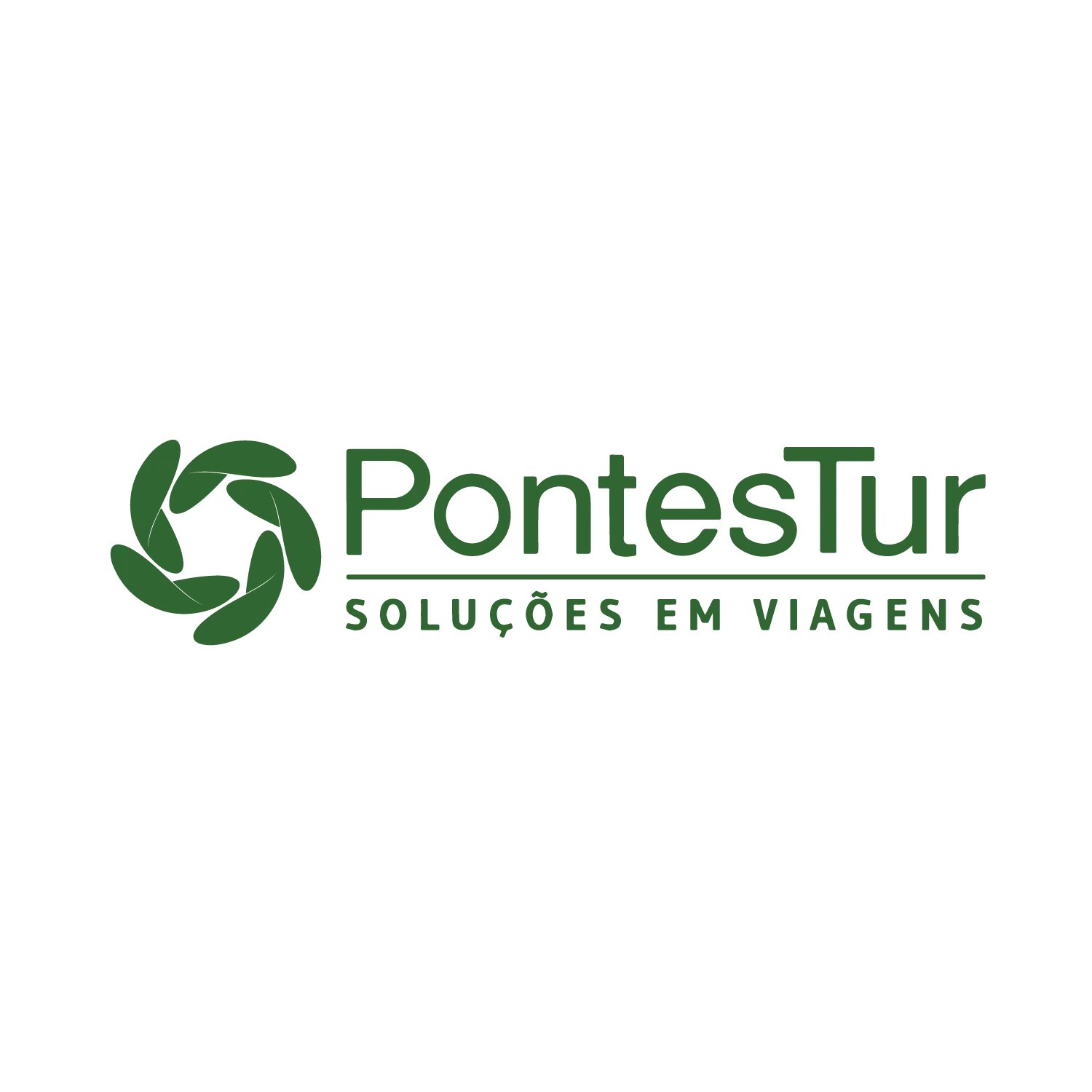 Case PontesTur