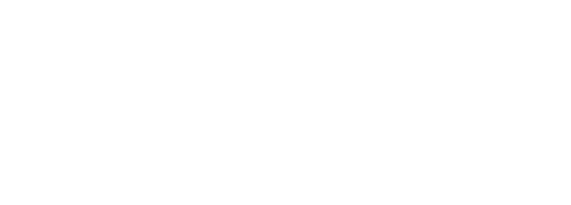 Pet Top