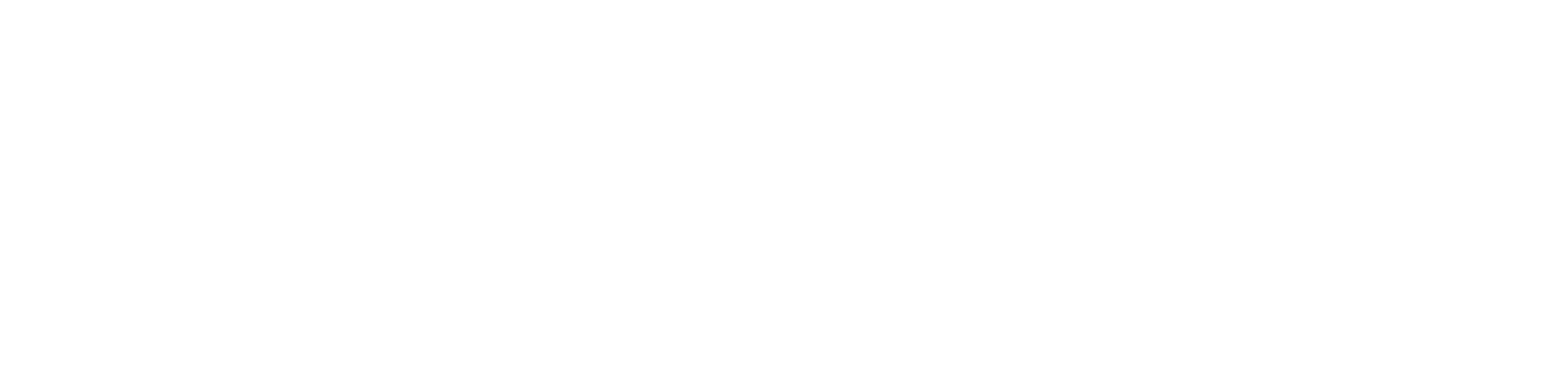 PontesTur