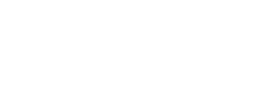 Ravo Consult