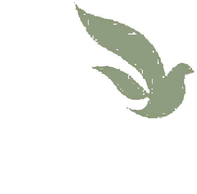 Universidade Católica de Pernambuco